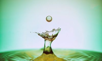 Japan's SBI Holdings maintains its crypto adoption streak with Money Tap announcement