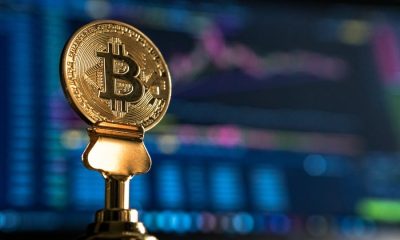 Bitcoin price does not conform to interest, so what’s fuelling the rise?
