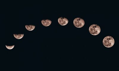 Bitcoin to the moon? Or at least to $42,000 by the end of 2019: Pantera CEO