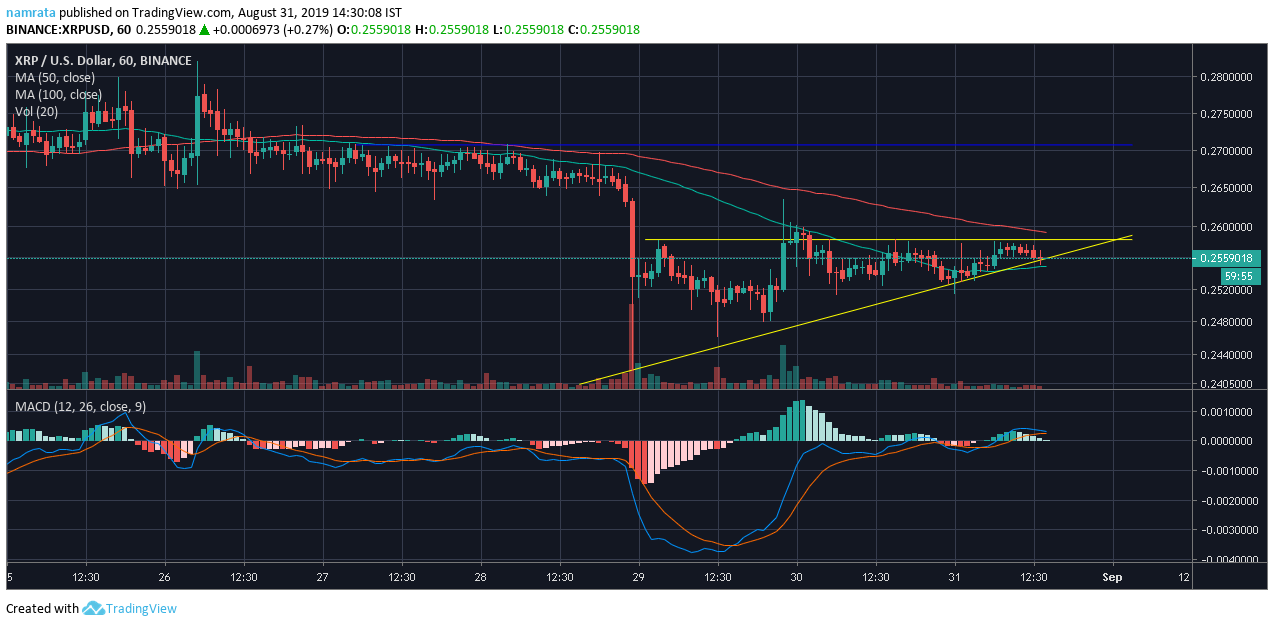 Source: Trading view