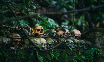 vLitecoin enters Death Cross as imminent bearish run aims to rid 2019 gainsLitecoin enters Death Cross as imminent bearish run aims to rid 2019 gainsLitecoin enters Death Cross as imminent bearish run aims to rid 2019 gains