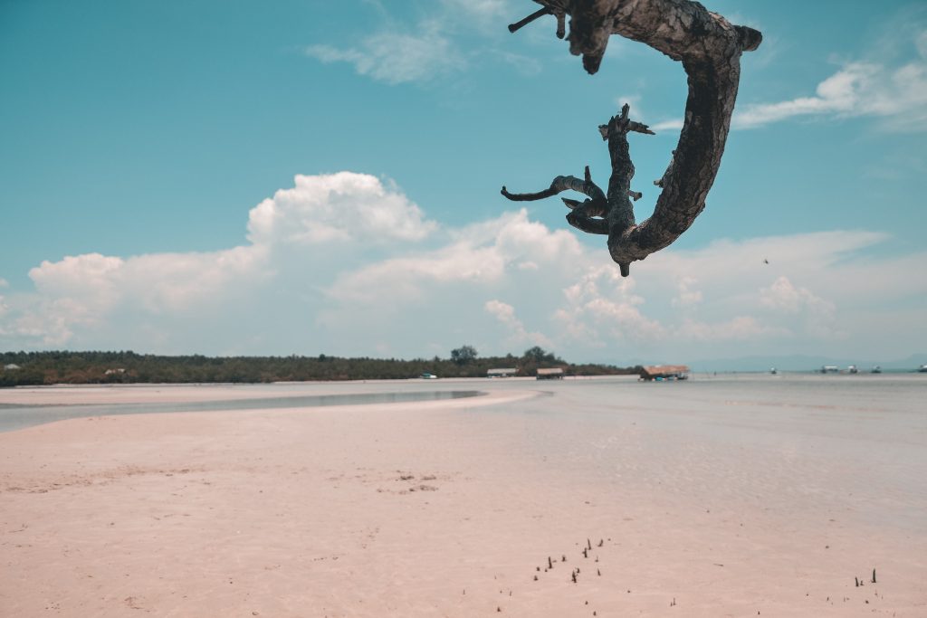 Chinese Dragon tames the American Eagle as Bitcoin adopts an Act East policy