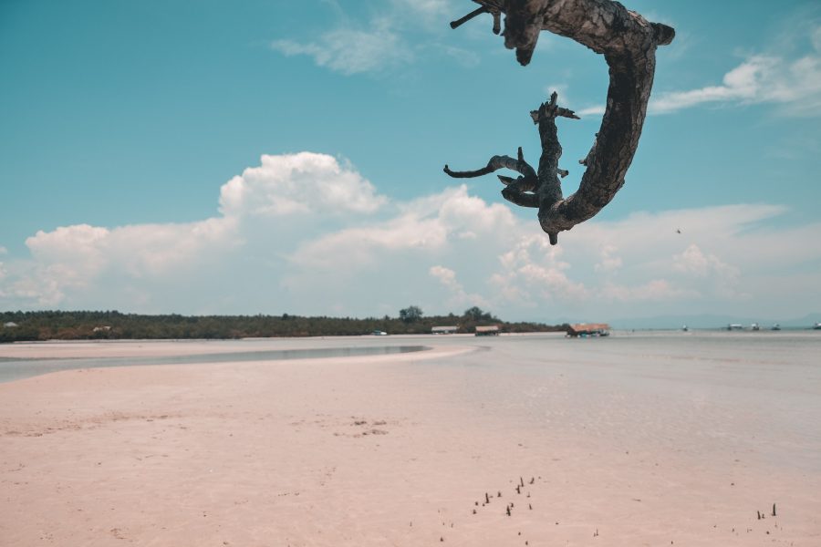 Chinese Dragon tames the American Eagle as Bitcoin adopts an Act East policy