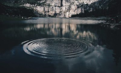 Dharma clarifies not working in XRP-related projects