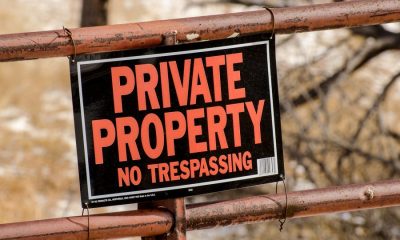 Private digital assets to serve as "alternative" rather than "replacement", claims recent SSRN research