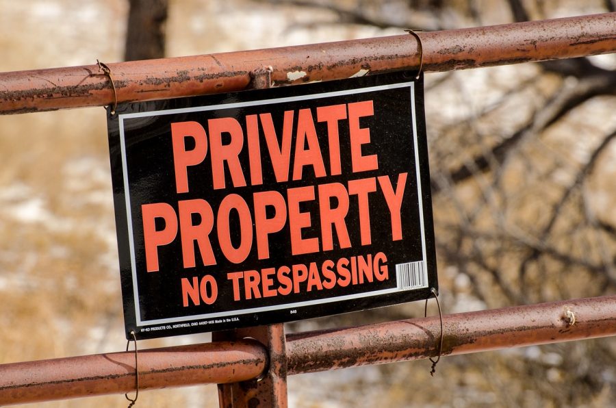 Private digital assets to serve as "alternative" rather than "replacement", claims recent SSRN research