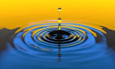 Ripple sees significant rise in dUNL