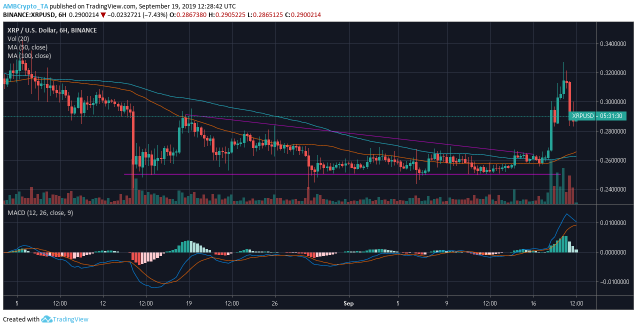 Source: Trading view
