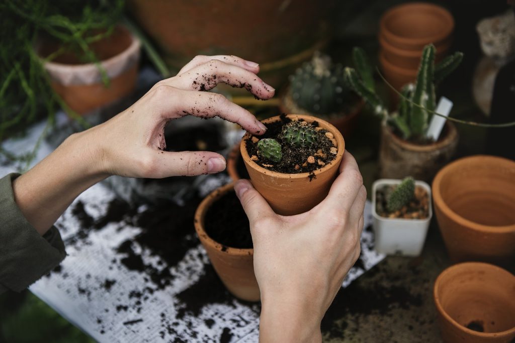 Binance Staking platform to help users grow funds on a monthly basis