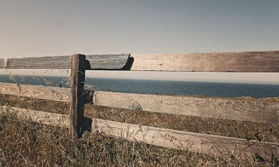 Ripple partner InstaRem to provide cross-border remittance service for SBI Cosmoney