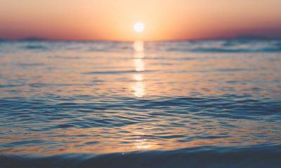 Ripple's David Schwartz alleviates XRP price FUDs; focuses on underlying tech