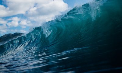 Ethereum's gas price show an unusual surge when the Asian market sleeps