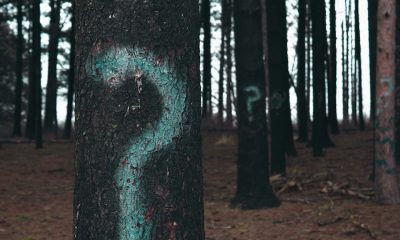 Monero is a 'currency that questions things or criticizes things'