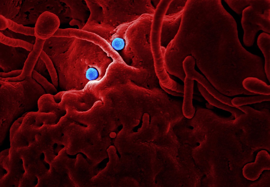 Binance donates $1.5m USD to coronavirus victims