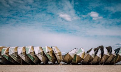 Cosmos, Waves, and Tron Price: All altcoins hint a surge on the horizon