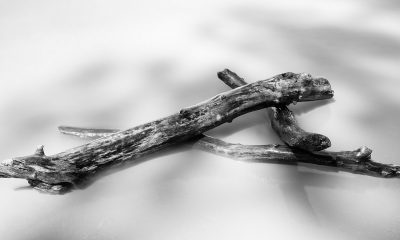 BNB, Raven, Lisk: Will Bitcoin's dominance sideline these altcoins eventually?
