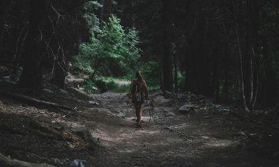 Bitcoin v/s CBDCs, altcoins: The top coin's in a pickle both externally and internally