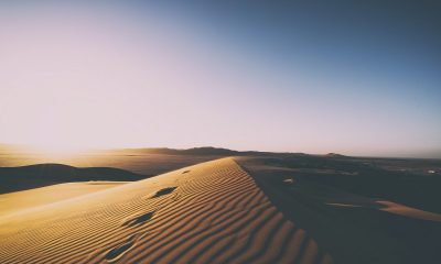 Litecoin continues the bearish run; Zcash and BAT follow in the footsteps