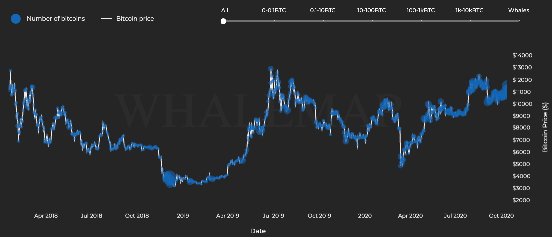 Election Frenzy ensues: Long or Short BTC?