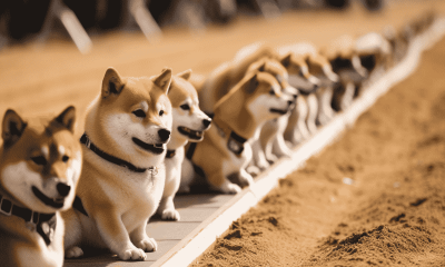 Is Dogecoin preparing for a bull run? Here's the odds