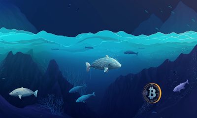 Bitcoin, Ethereum grab the attention of these cohorts