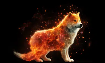 Of SHIB's burn rate and BONE's role in it all