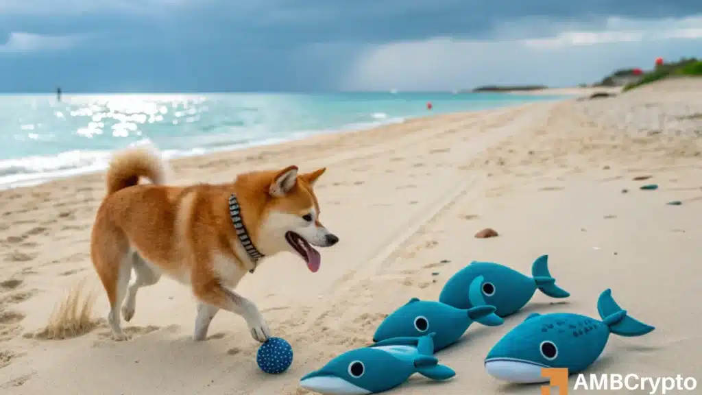 SHIB whale earns millions