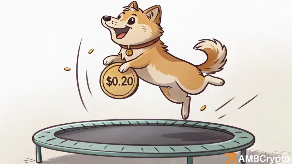 DOGE