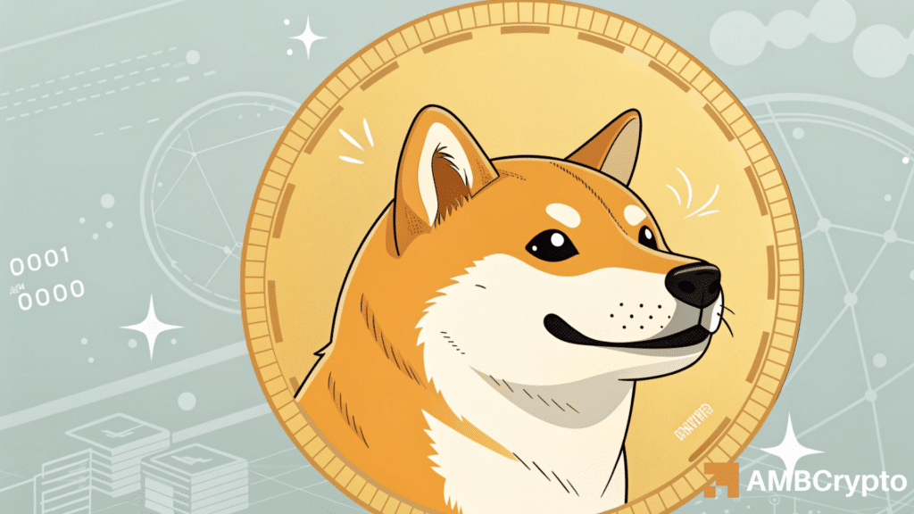 Dogecoin update: Has DOGE’s correction set up a rally back to $0.30, or will it test $0.18?