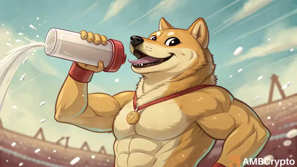 dogecoin
