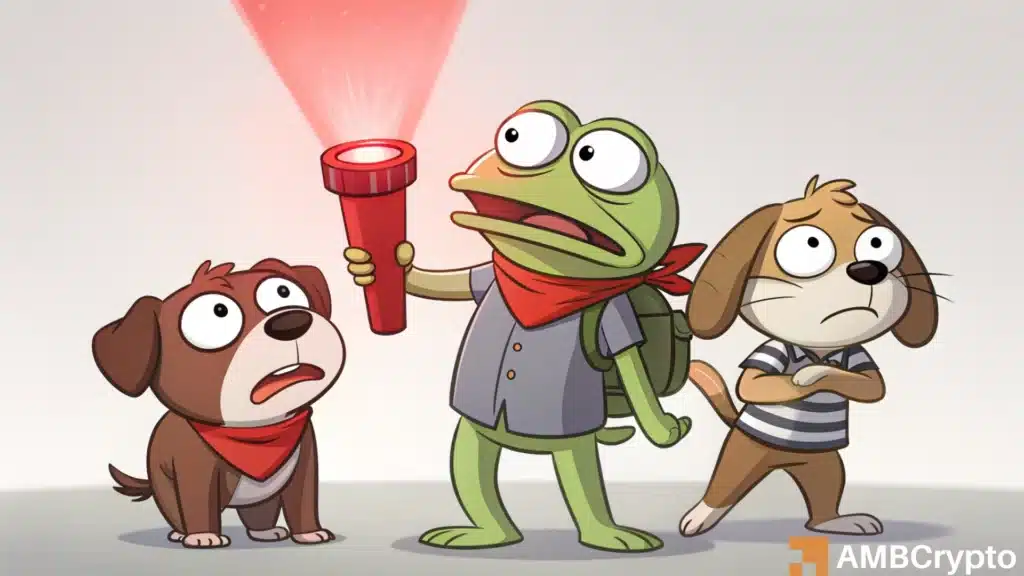 BONK PEPE FLOKI