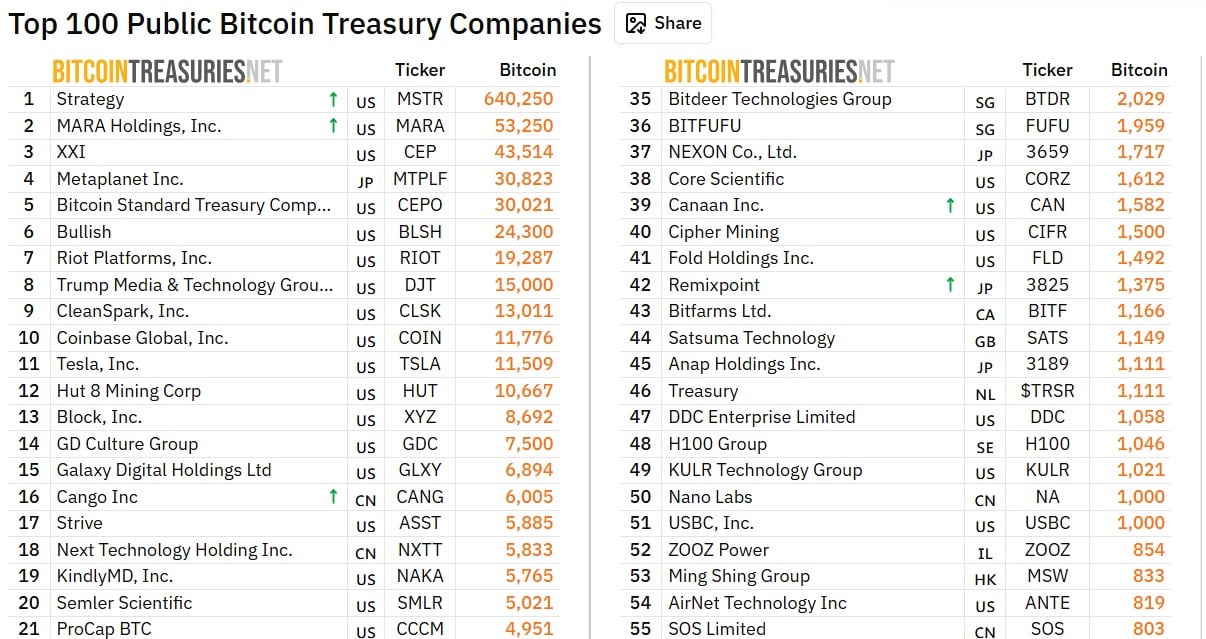 Bitcoin treasuries company