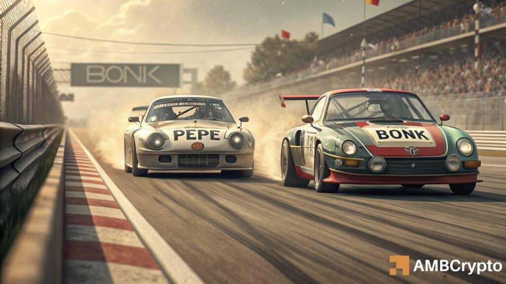 PEPE vs BONK - Which memecoin will finish 2025 stronger?