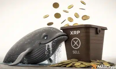 XRP whales