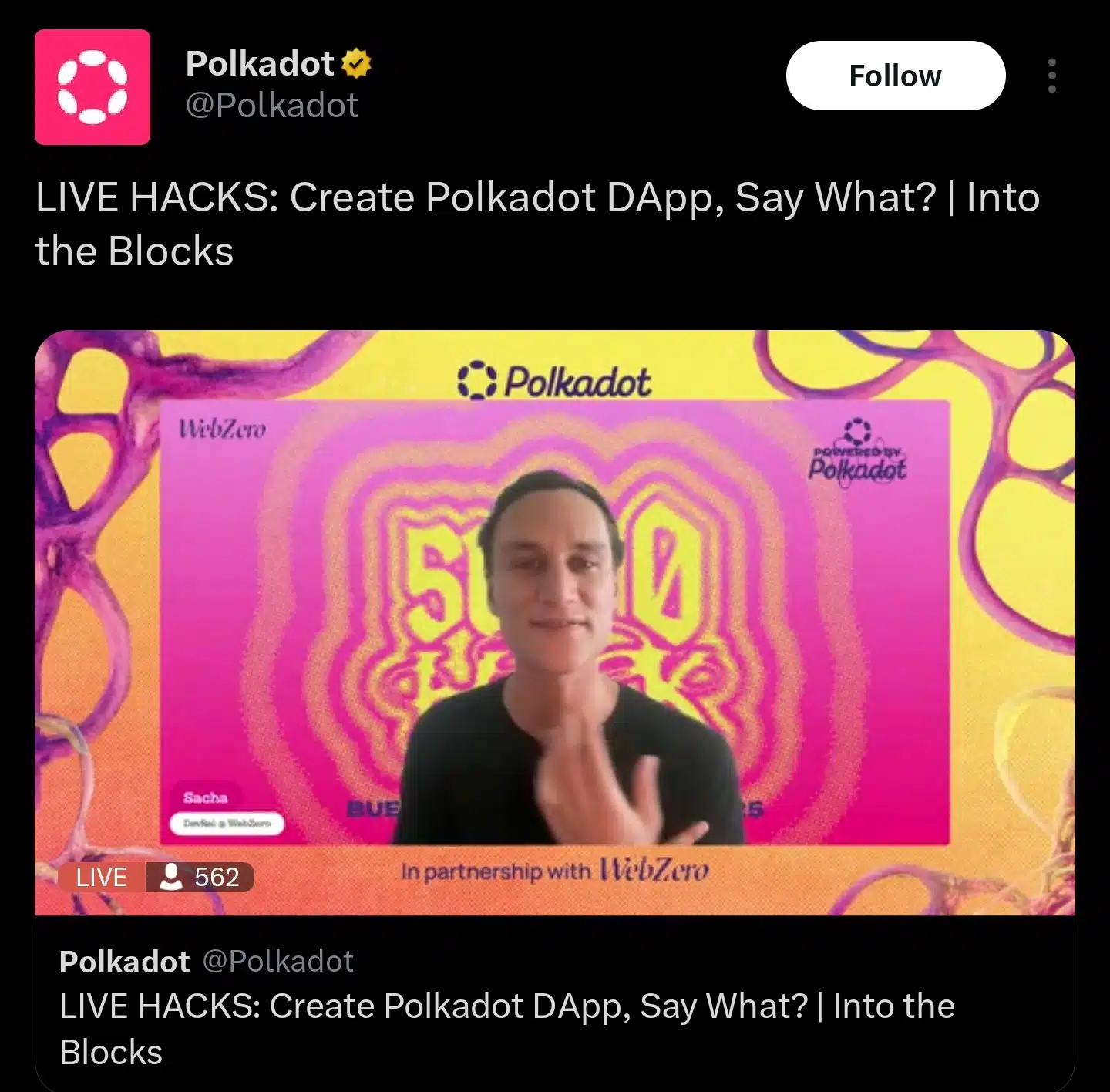 polkadot DOT