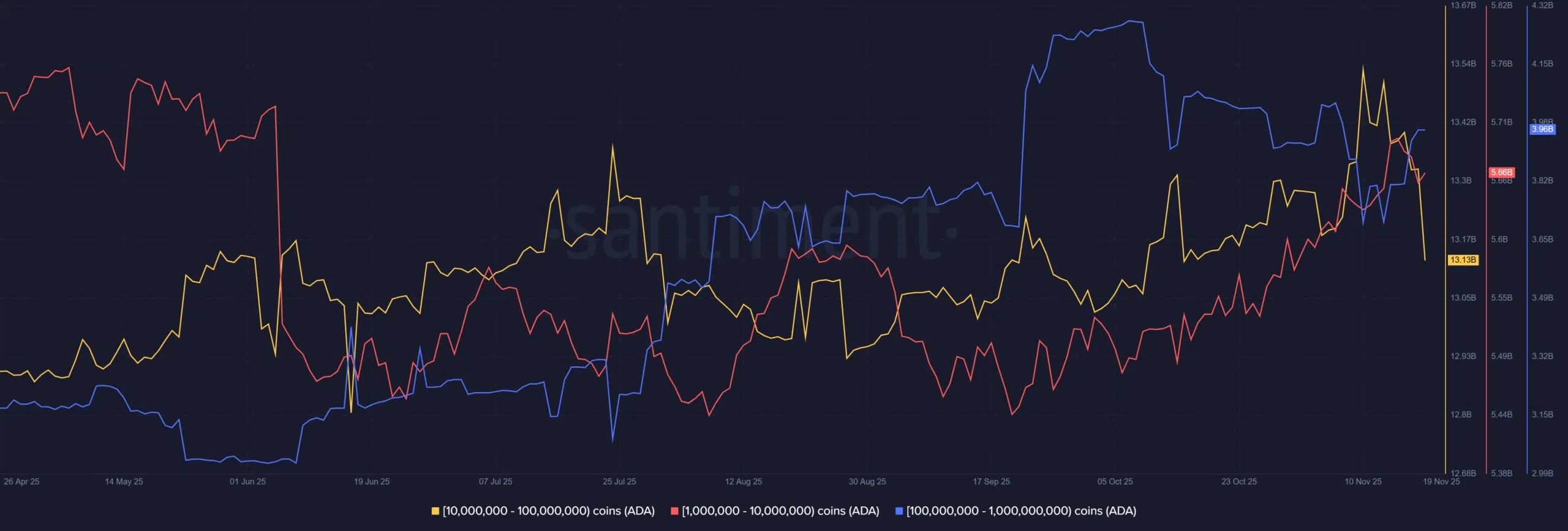 Cardano