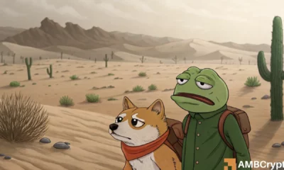 Memecoin market caps - Sector analysis reveals shift towards extreme bearishness