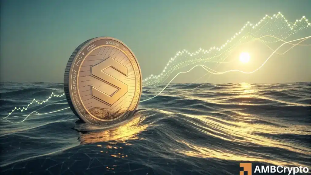 Has Solana's memecoin mania fizzled out?