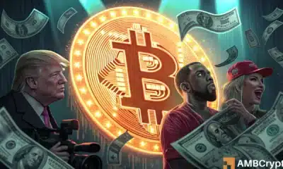 Celebrity memecoin trend: Analyzing the 'celebcoin' craze and market risks