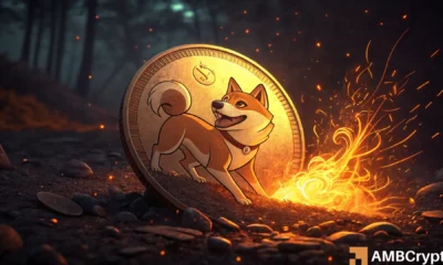Shibarium L2 Metrics: Is Growth Driving SHIB Token Burns and Price?