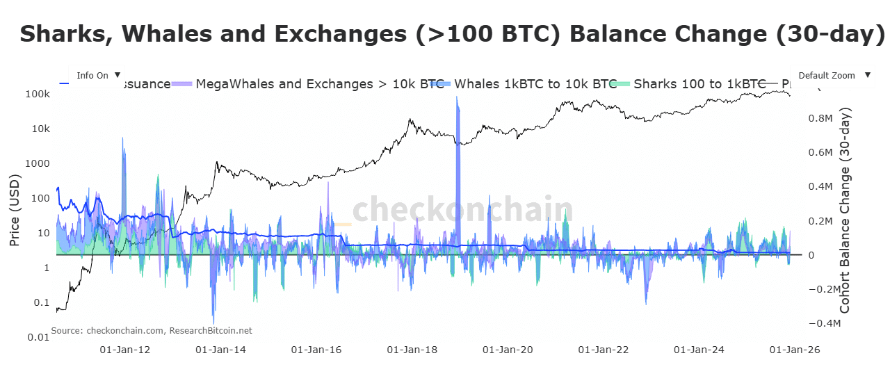 Bitcoin whale balance changes