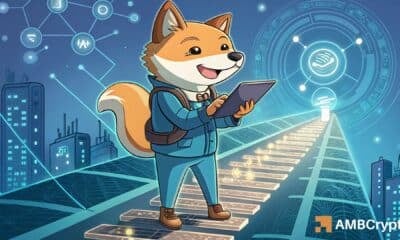 Shiba Inu's Shibarium - How is it doing on the utility front?