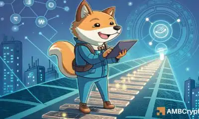 Shiba Inu's Shibarium - How is it doing on the utility front?